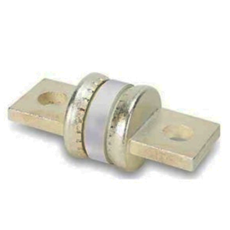 110 amp class T Fuse