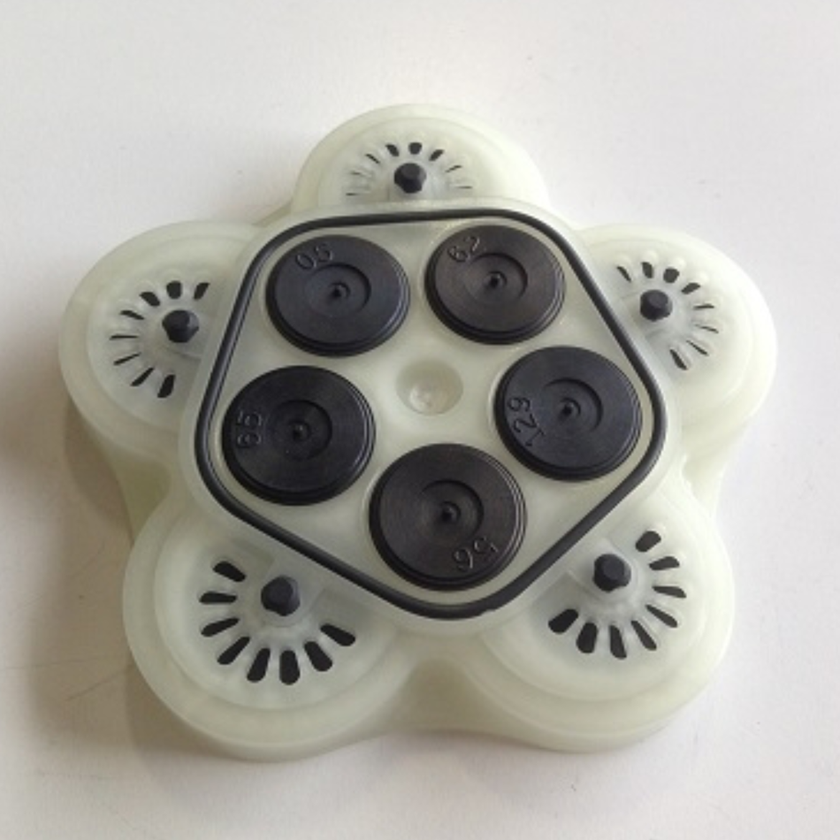 Aquatec 550 Valve Housing Assembly